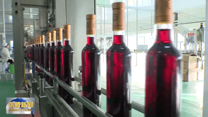 【視頻】高臺:力促工業(yè)經(jīng)濟(jì)提質(zhì)增效